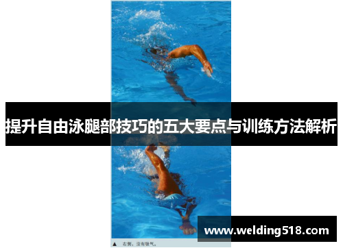提升自由泳腿部技巧的五大要点与训练方法解析